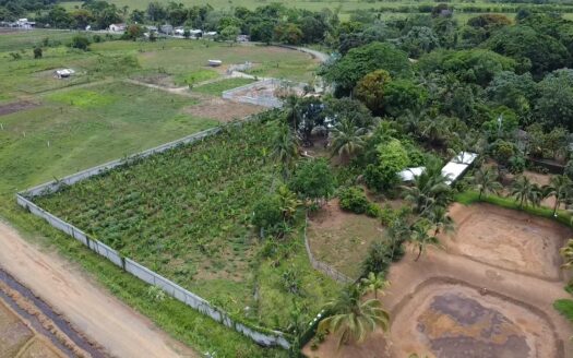 FINCA DE 10 TAREAS DE VENTA EN BONAO