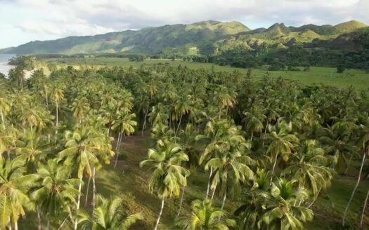 TERRENO CON PLAYA DE VENTA EN LAS TERRENAS