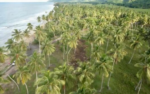 TERRENO CON PLAYA DE VENTA EN LAS TERRENAS