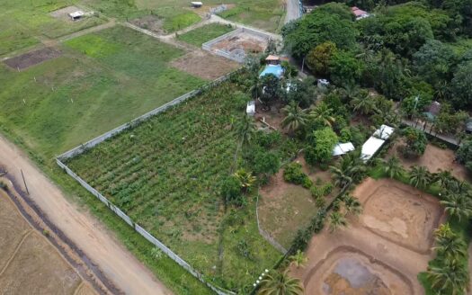 FINCA DE 10 TAREAS DE VENTA EN BONAO