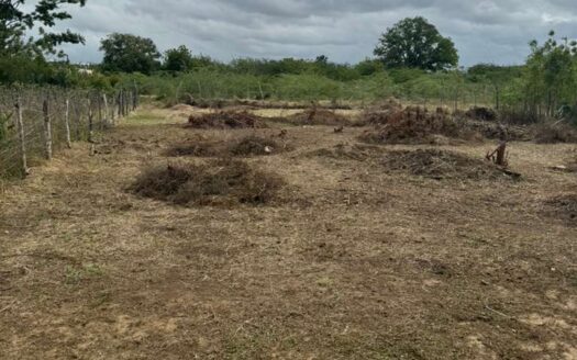 Solar económico en la zona Sur Santiago – Yapur Dumit