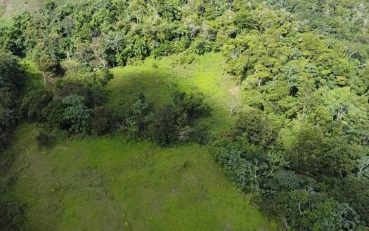 SOLAR DE 15 TAREAS DE VENTA EN VILLA ALTAGRACIA