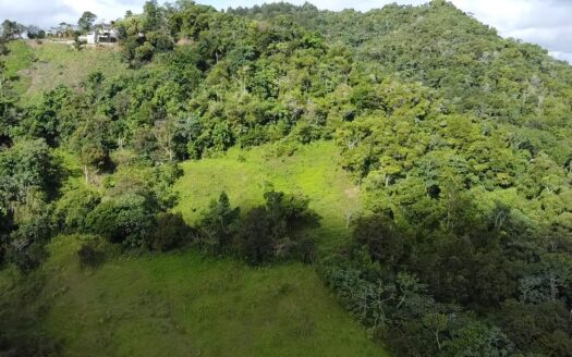 SOLAR DE 15 TAREAS DE VENTA EN VILLA ALTAGRACIA