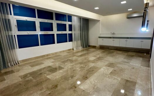 PETHOUSE DE VENTA EN LA JULIA SANTO DOMINGO
