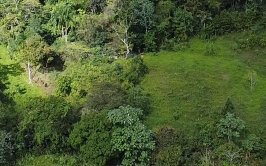 Finca de 15 tareas de venta en Villa Altagracia, RD