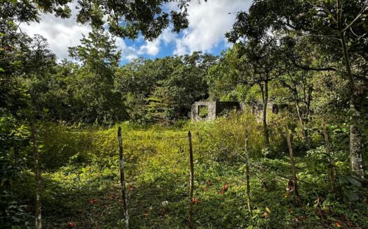 Finca de 15 tareas de venta en Villa Altagracia, RD