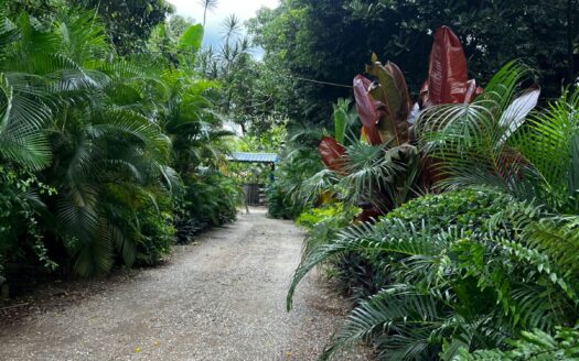 Venta de Villa con patio y piscina en Santiago – Tamboril